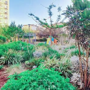 BnBIsrael apartments - Markolet Camelia