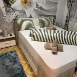 Holiday Apartment