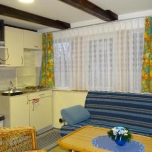 Amazing apartment in Begunje na Gorenjskem w/ WiFi and 2 Bedrooms