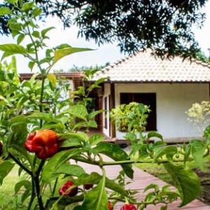 Pousada Natureza Viva