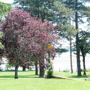 Great House in the heart of the Ria d'Etel