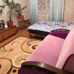 unusually comfortable apartment Tambov