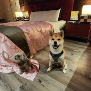 Fongchih Motel