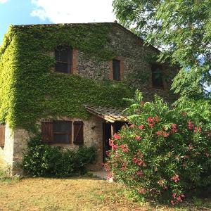 Silence and relaxation for families and couples in the countryside of Umbria