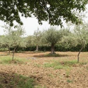 Casa Fondachello strada vicinale fondachello ciaramitaro