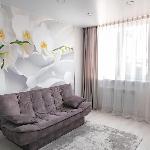 clean bright studio near the Mariinsky Theater Vladivostok 