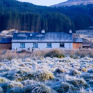 Wee Holiday Cottage by the loch