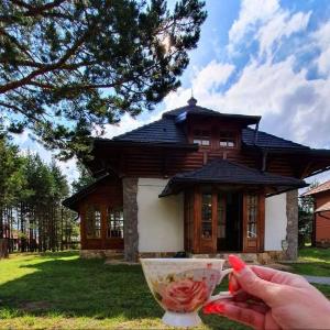 Vila Panić Zlatibor