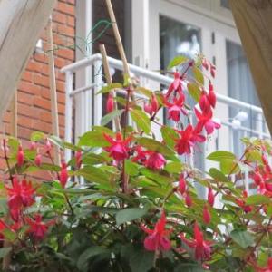 B&B West City Amsterdam