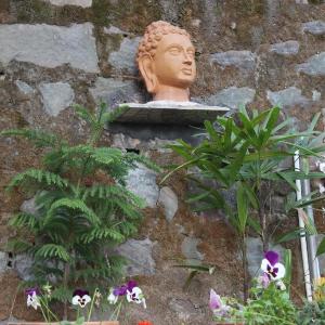 Pine Crest West Menage - Abode in nature's bounty
