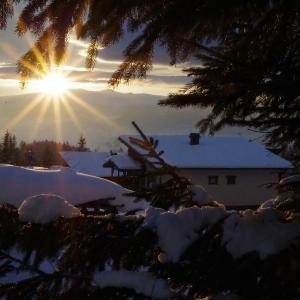 Cottage in the Carpat Bukovel Discovery Yablunuca 