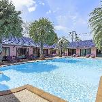 Sugar Palms Resort 9BR w/ Pool 100m to Beach