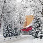 Hotel in Novopodrezkovo 