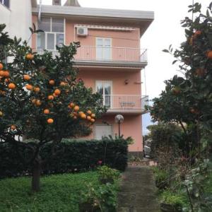 Appartamento in spaziosa villa con giardino