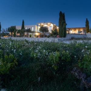 Villa Ayia Marina in Kathikas with Private Pool