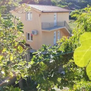 Apartments Stevan