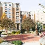 Queen Bed Near Downtown Shopping and Wonderful Amenities