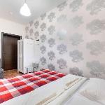 Double Room (Двухместный номер) Kazan 