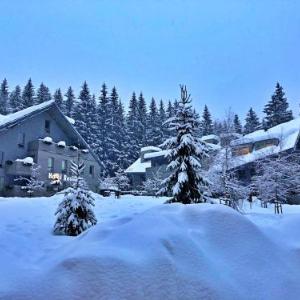 Resident Resort Harrachov - Wellness & Grotta Spa