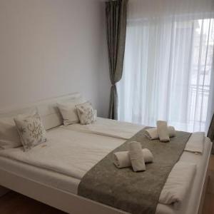 Confort Sibiu Residence
