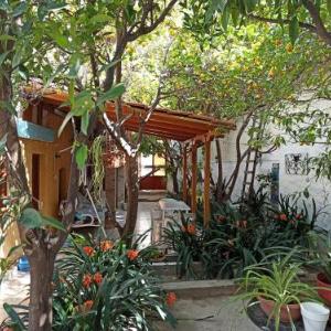 Aegina Town Lemon House