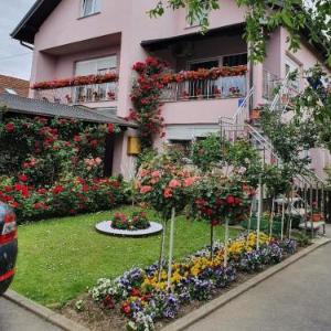 Apartman Vesna