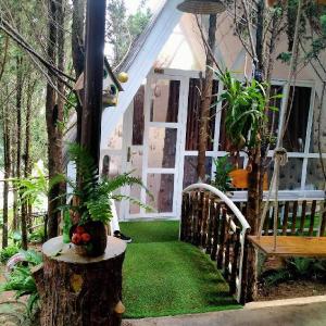 Homestay VuonTung (Pine Garden)