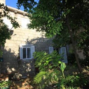 Seaside holiday house Cavtat Dubrovnik - 8557