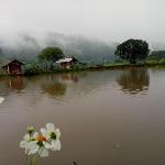 samong fishing park @ home stay