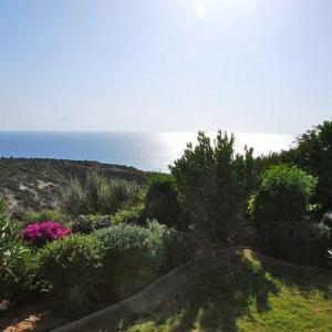 Imagine You and Your Family Renting this 5 Star Villa Villa Paphos 1154