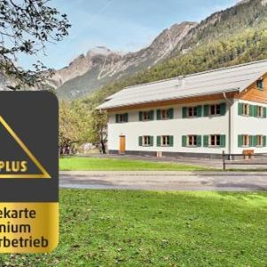 Arlberg Öko Ferienwohnung Roggelskopf - a25089