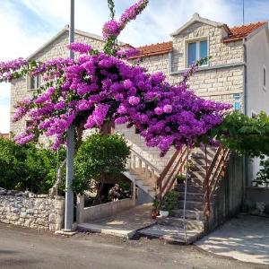Apartments with parking space Supetar Brac - 14720