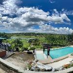 Vine Woods Resort