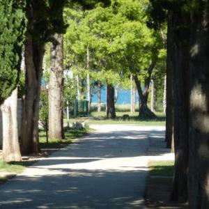 Green street apartments close to the beach