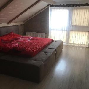 Hoshen Apartment Dmytrushki