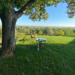 Beautiful hidden villa with private garden and a view