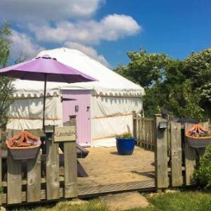 Lavender Yurt