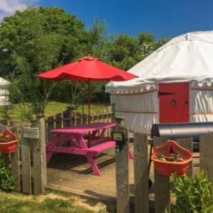 Poppy Yurt