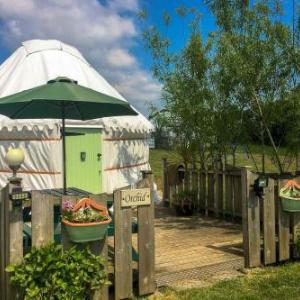 Orchid Yurt