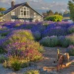 Dungeness Barn House Bed and Breakfast Washington