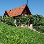 Vineyard cottage Berus  Trebnje