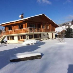Gîte confortable à Gérardmer avec jardin ski randonnées et activités nautiques - FR-1-589-128