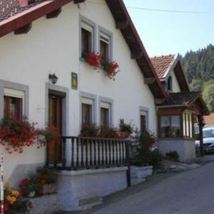 Gîte Gérardmer 4 pièces 5 personnes - FR-1-589-147