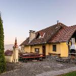 Vineyard cottage Hocevar Otočec