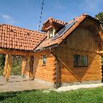 Vineyard cottage Janko in Metka  Otočec