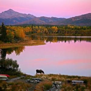 Denali Lakeview Inn