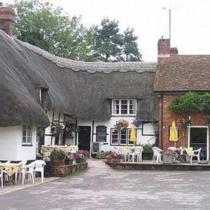 The Royal Oak