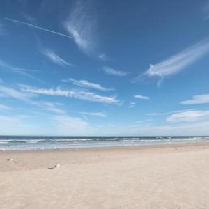 Endless Summer in Downtown St. Augustine