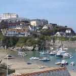 The Harbour Newquay