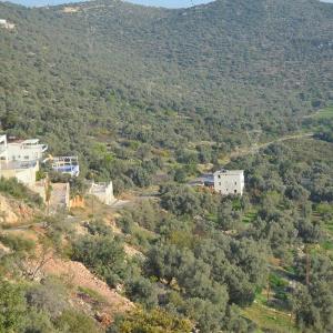 Private Pool Villa With Infinity View-minos Villa